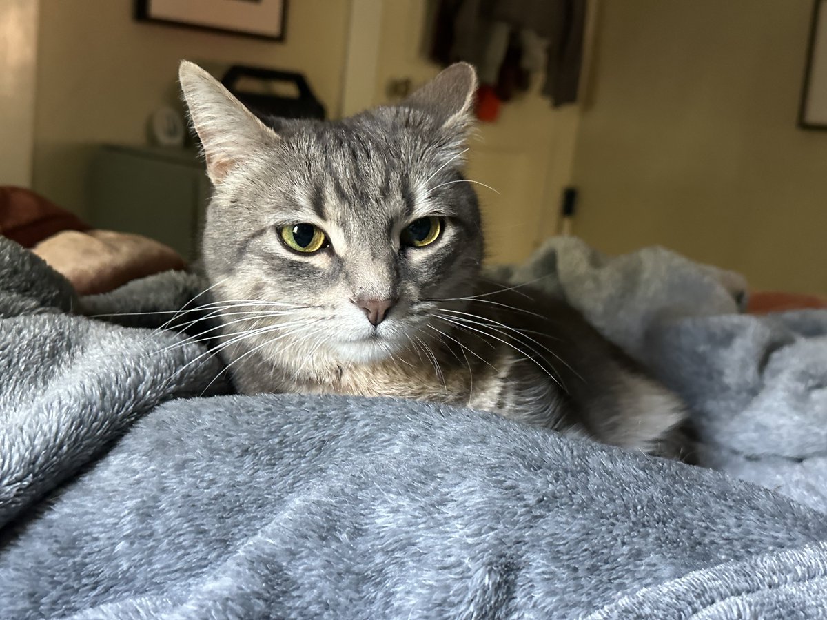 Patrick Skinner tweet media