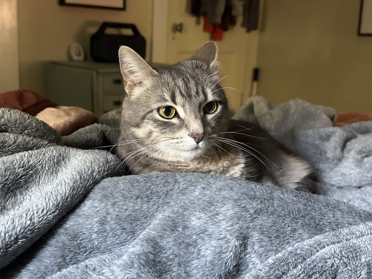 Patrick Skinner tweet media