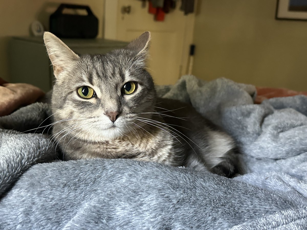 Patrick Skinner tweet media