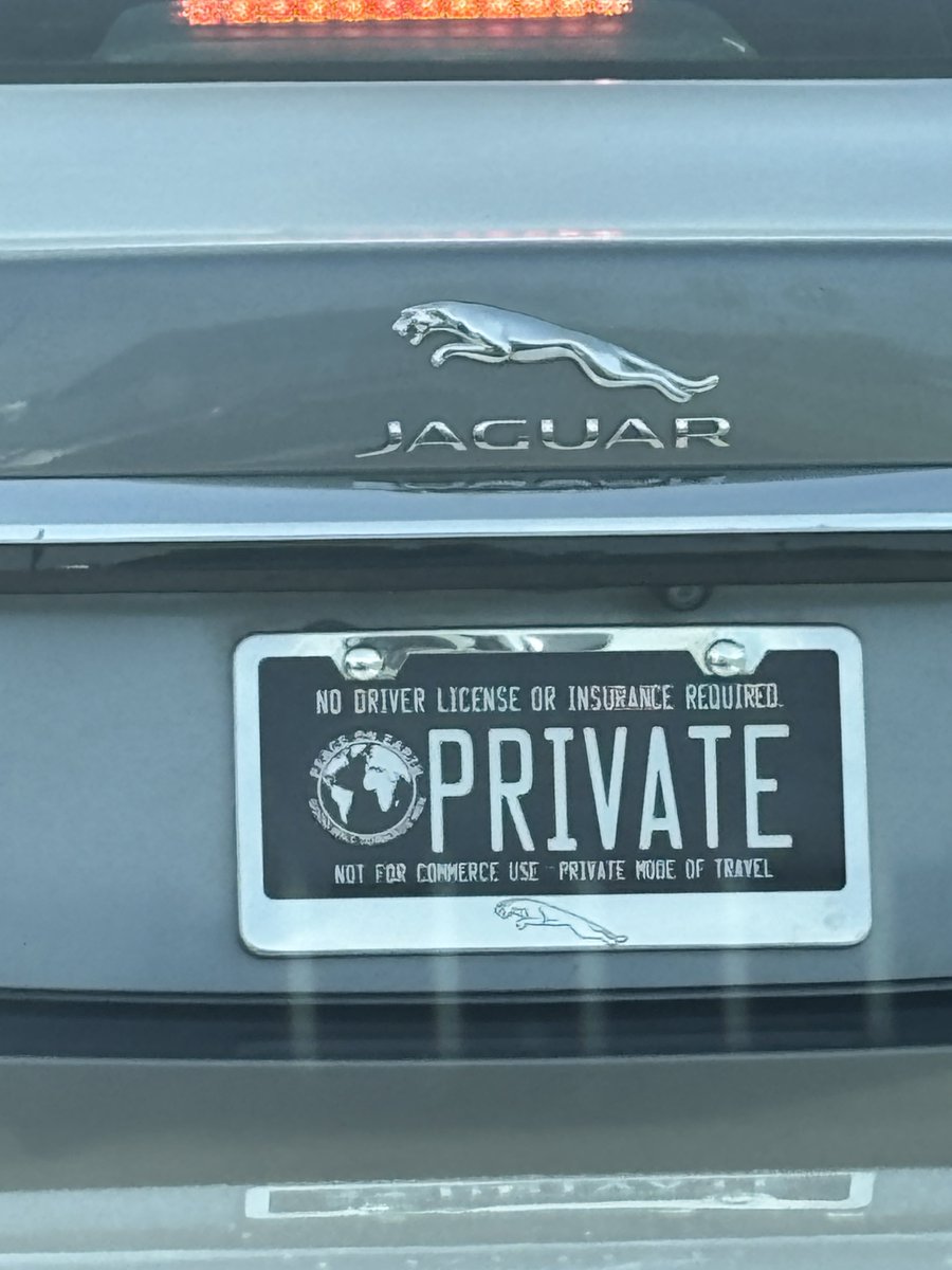 🐦🔥 tweet media