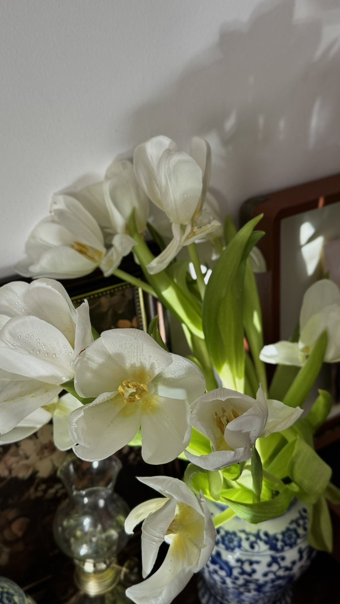 مـلاك tweet media