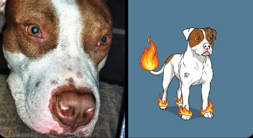 It's just Maik tweet media