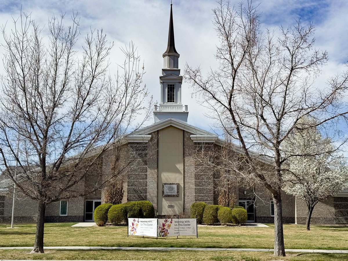 Lezlie Fitts tweet media