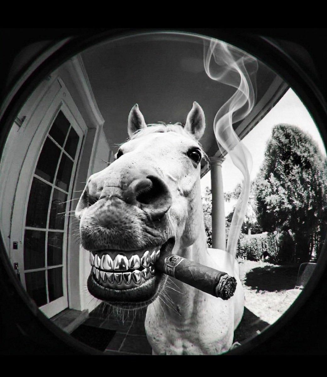 Hi-Yo Silver tweet media