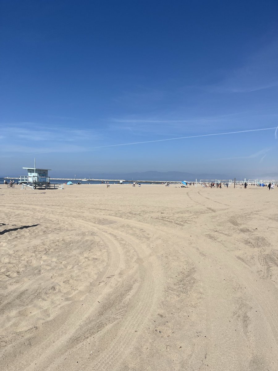 Elizabeth Wright tweet media