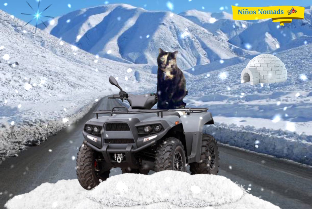 Angels Cinni, Oreo, and Hydrox tweet media