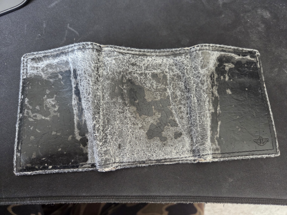 FleaFlickr tweet media