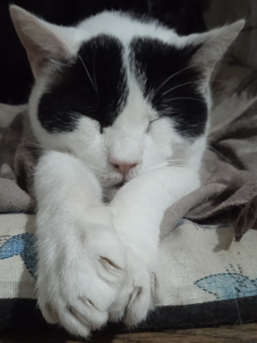 Plutoni239 tweet media