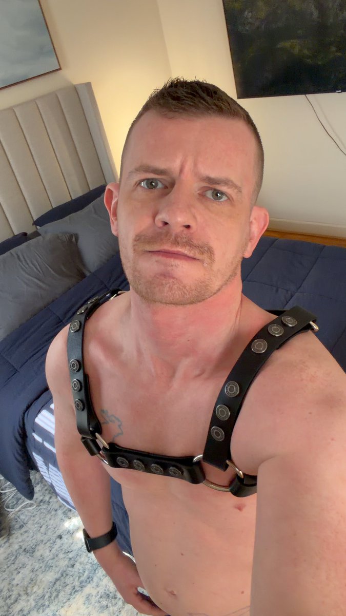 Ryan Knox tweet media