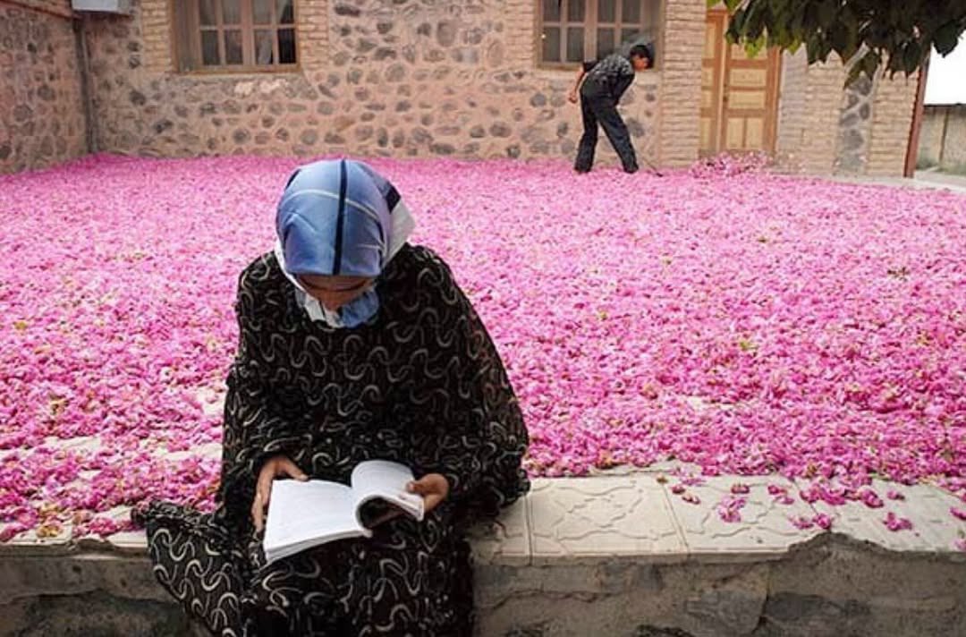 Eye On Axis tweet media