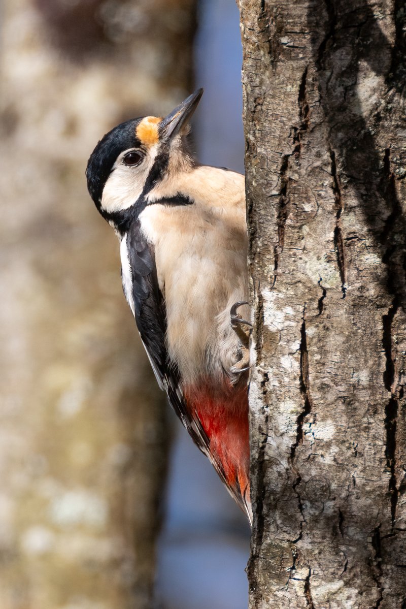 Mark Wright tweet media