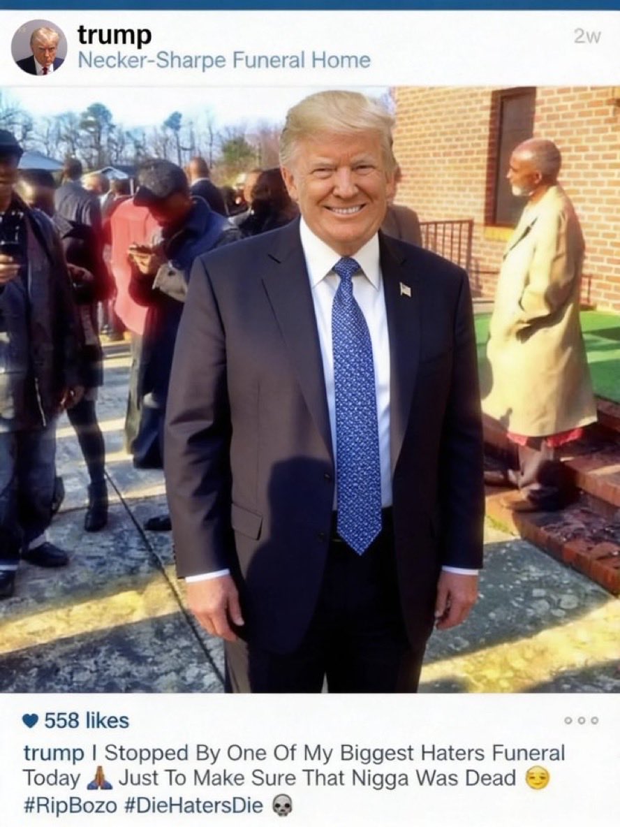 captive dreamer tweet media