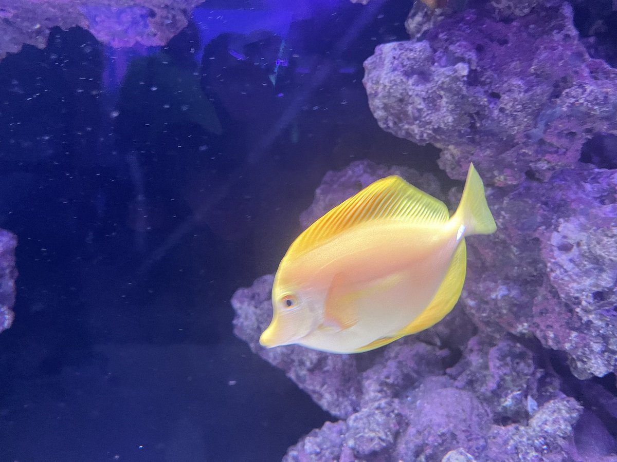 ⟡ handsome girl 🍂 tweet media