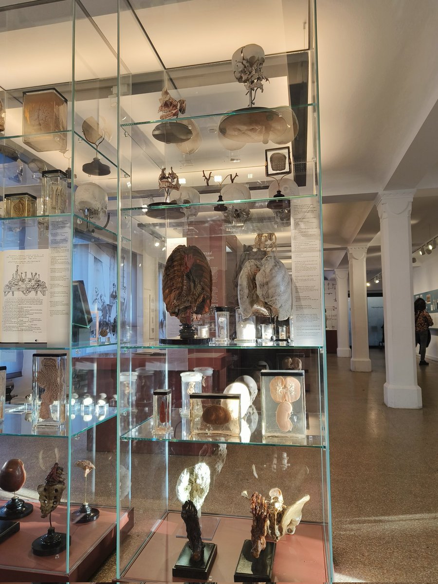 •S̶i̶n̶c̶i̶a̶• tweet media