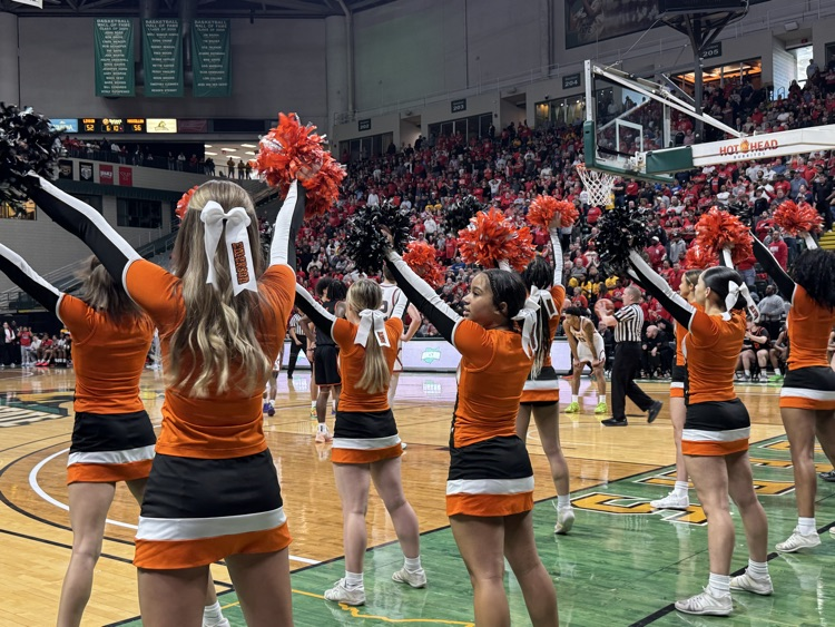 Massillon City Schools tweet media