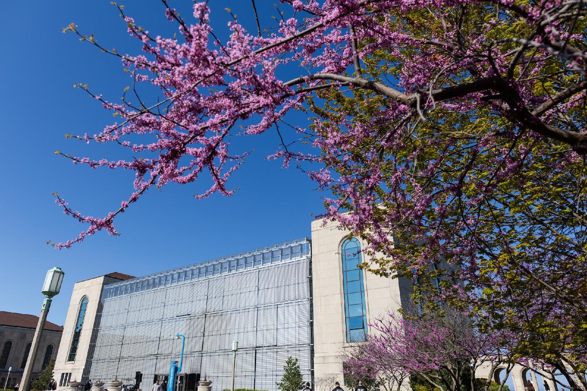 LoyolaChicago's tweet photo. It's officially spring 🌷🌼🪻🌸 https://t.co/4Hl8HuCyTb