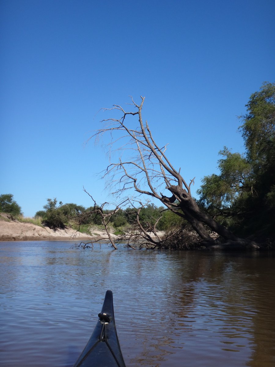 vanikayak's tweet photo. 90 km en dos días. 

#RíoGualeguay https://t.co/x0ClVU0iV5