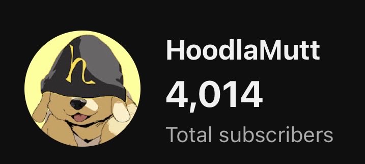 HoodlaMutt tweet media
