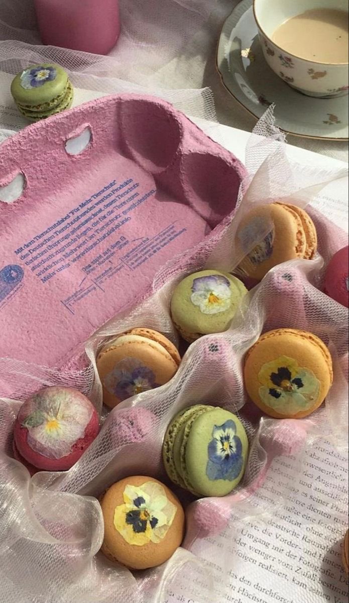 🎀🦢🕯. tweet media