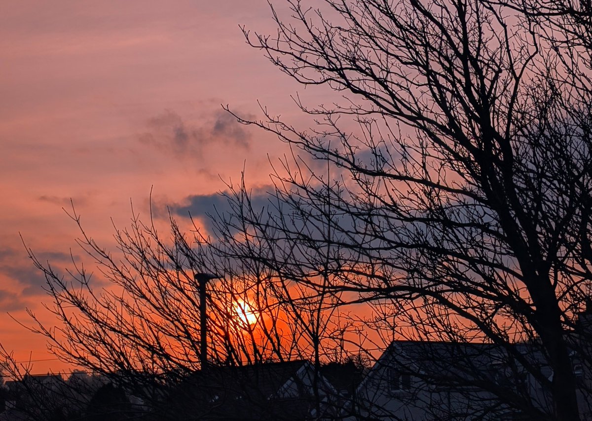 Love Ballymena tweet media