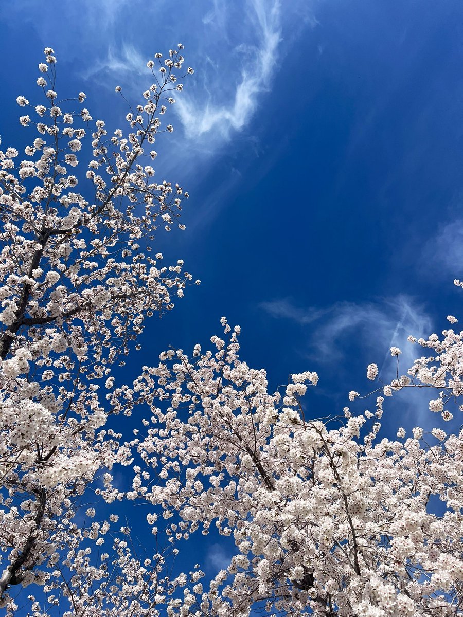 Kyle Treasure tweet media