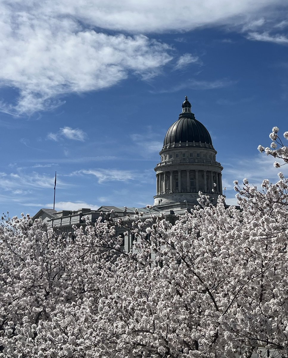 Kyle Treasure tweet media