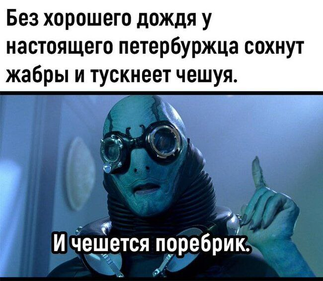 Василий Новиков tweet media