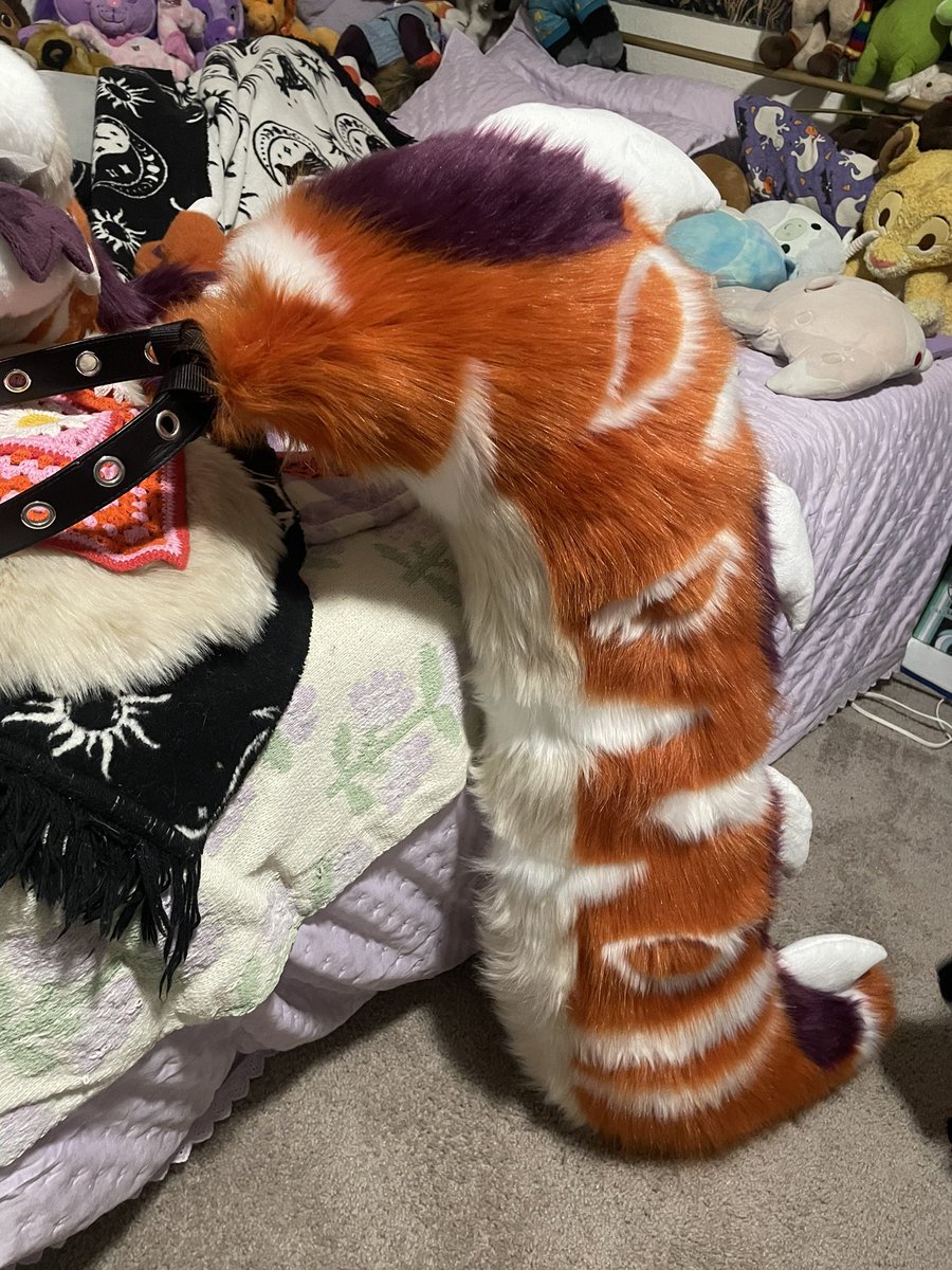 🐏Dusty the Ram tweet media