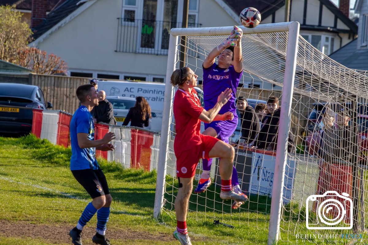 Behind The Fence Photography tweet media