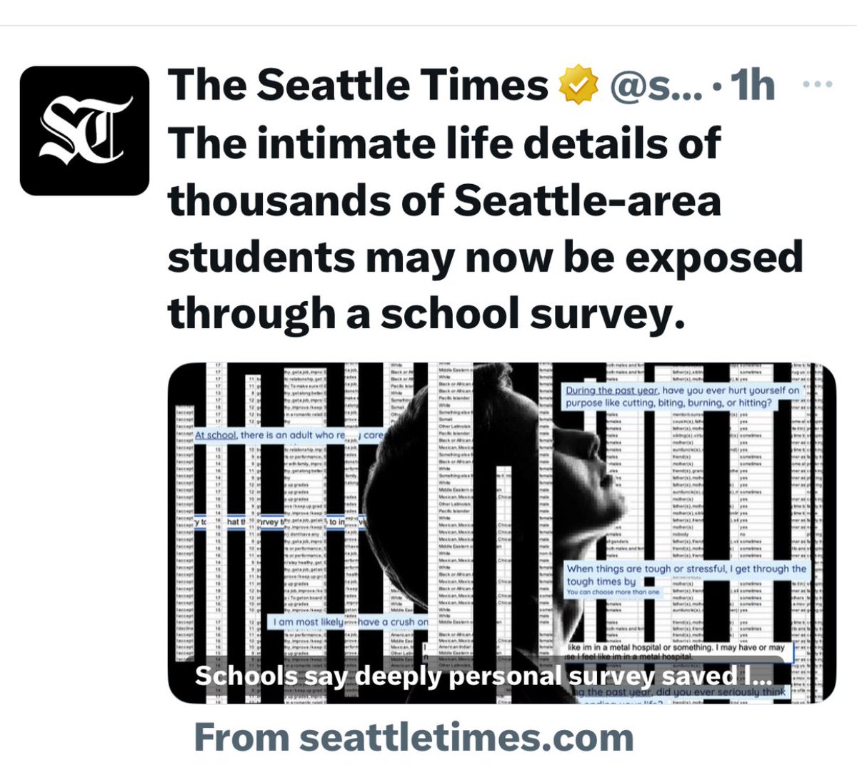 SeattleBeachBum's tweet photo. @bkheywood This is the same assessment. What’s interesting is that a child’s pediatrician doesn’t get a copy. Parents not provided a copy. It includes several scores and flags for each child. https://t.co/z511uyXNnY