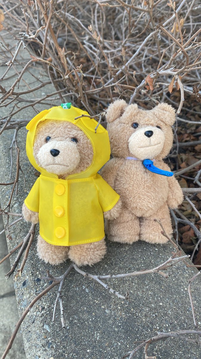 MICHI | #1 stan & francine lover 🇺🇸🍷 tweet media