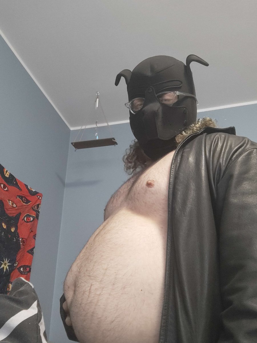 Dumbest Dog tweet media