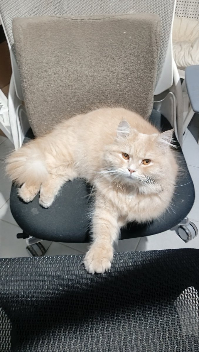 I'mma have a busy weekend, I'll be back this monday :p (i can still reply to messages, but not big comms updates)