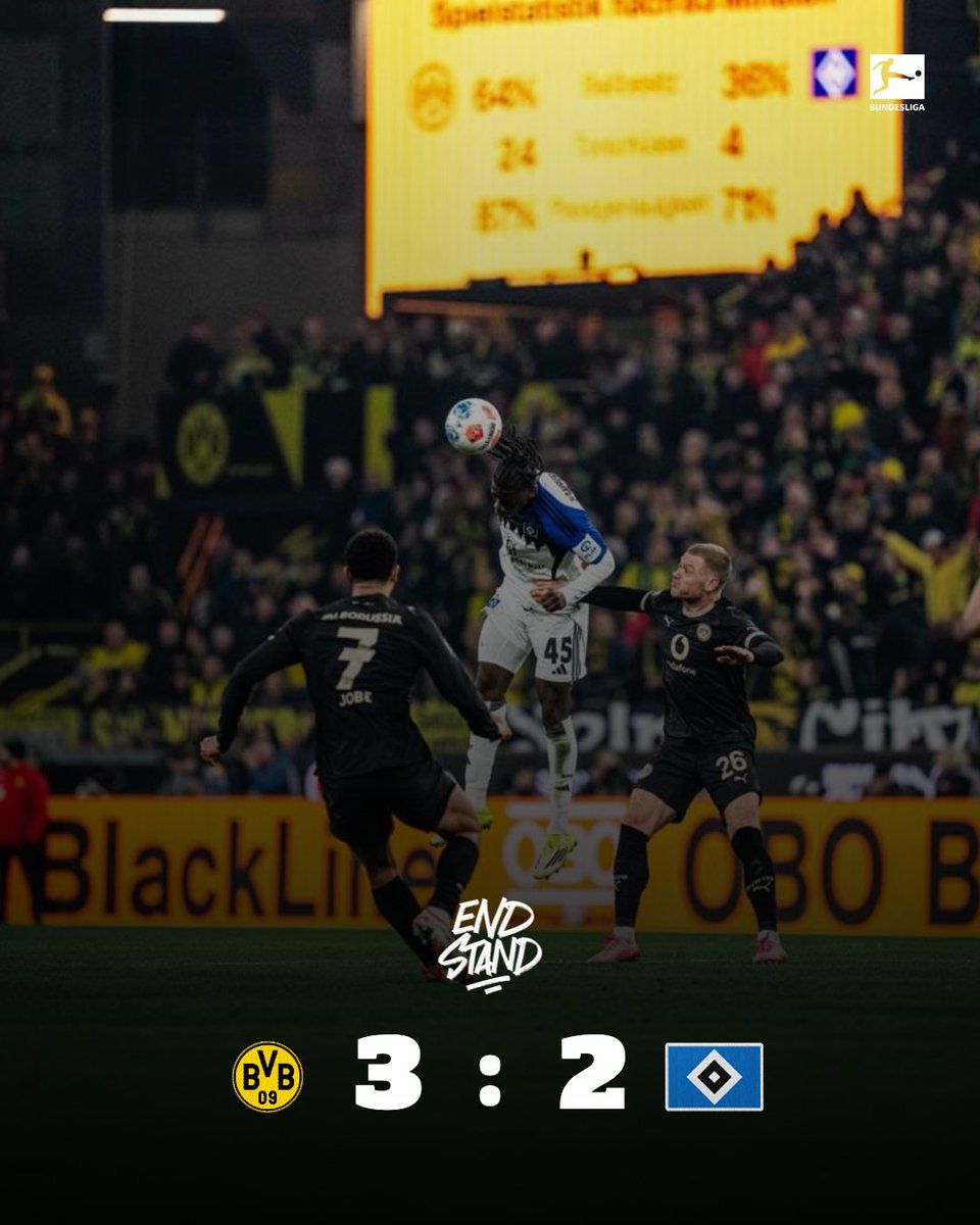 Hamburger SV tweet media