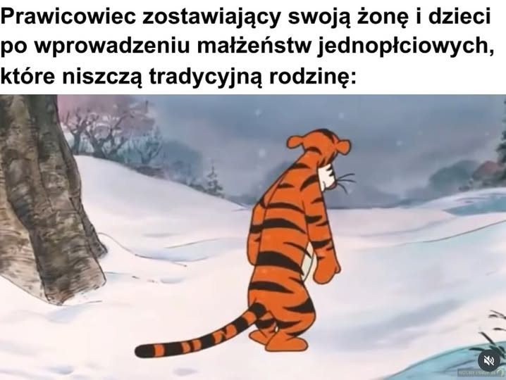 Naczelny Sąd Administracyjny wydał wyrok nakazujący transkrypcję aktu małżeństwa, zawartego przez dwóch Polaków w Berlinie. W uzasadnieniu sędzia powiedział to, co wie każdy wyposażony w podstawową zdolność czytania ze zrozumieniem w języku polskim: że artykuł 18 Konstytucji nie