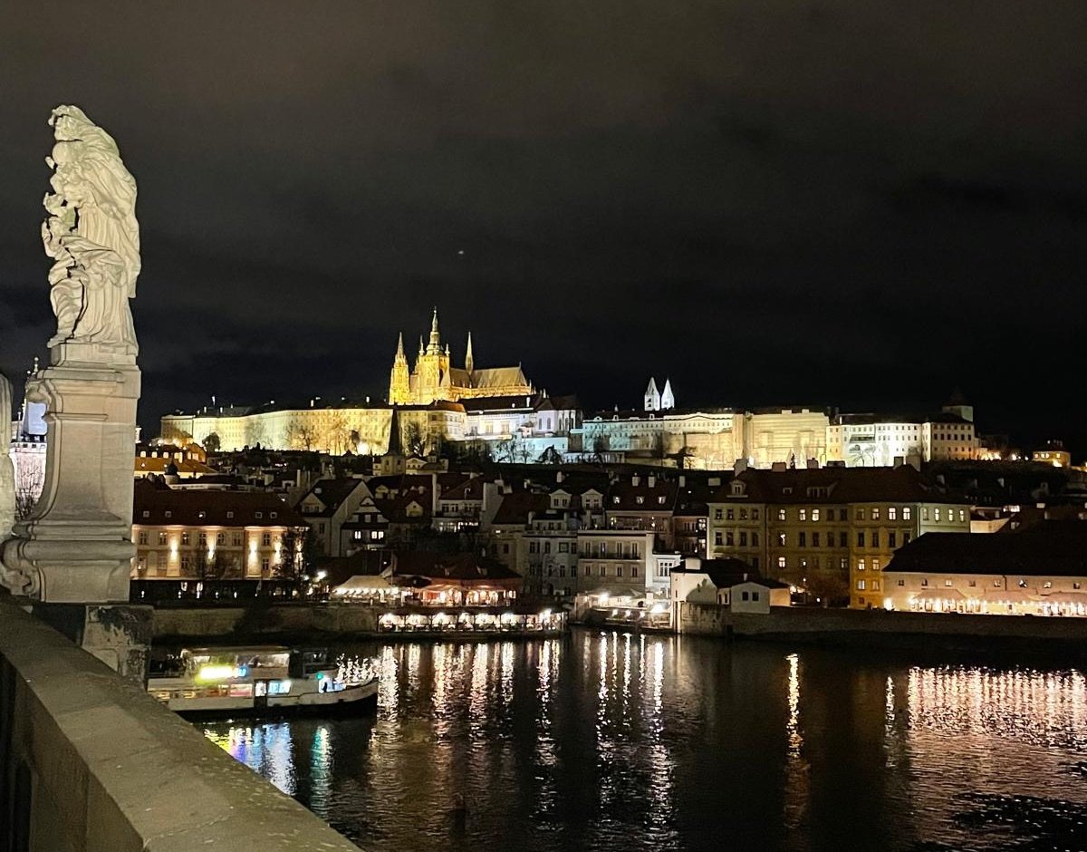 P. Rentsch ✏ tweet media