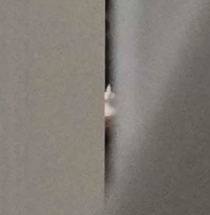 ✮ NAKAHAWA ✮ tweet media