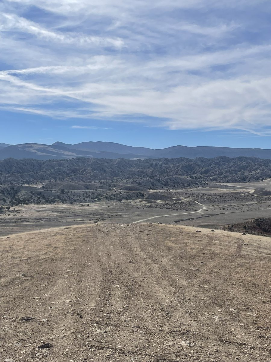 Cowboy1985 tweet media