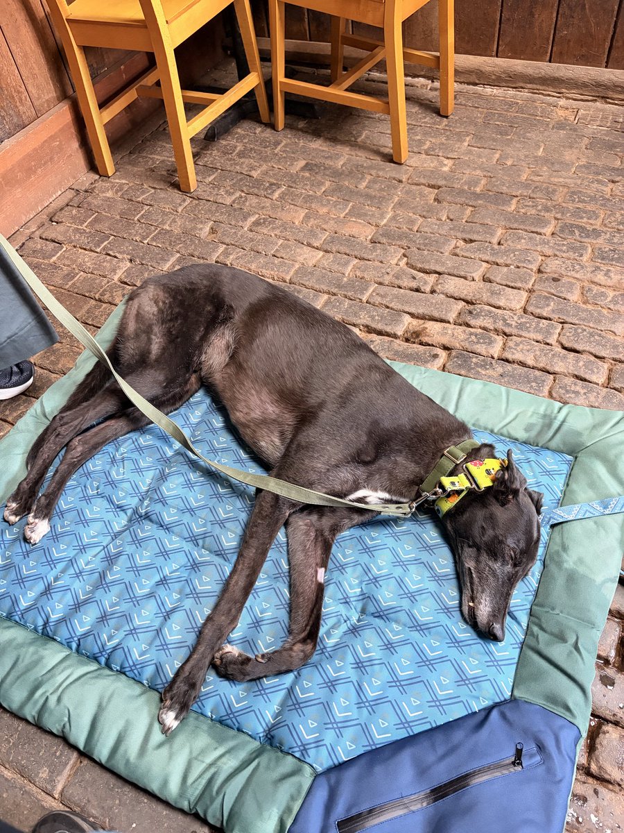 Duke 💙 tweet media