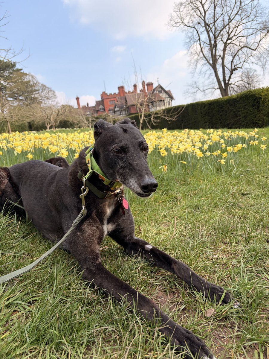 Duke 💙 tweet media