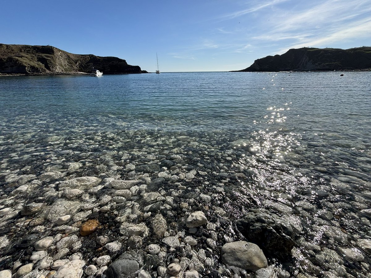 James Donald 💙 tweet media