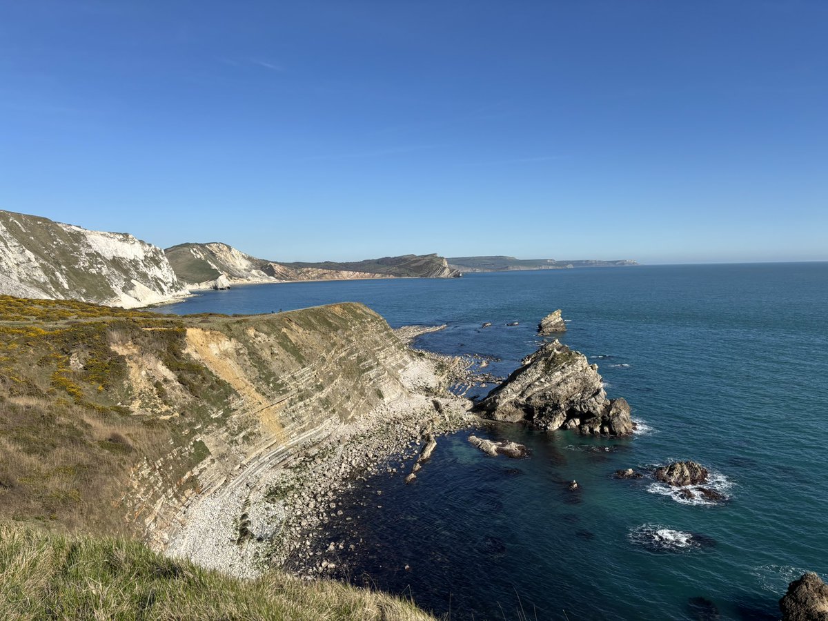 James Donald 💙 tweet media