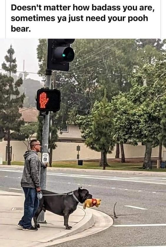 WholesomeMeme's tweet photo. https://t.co/VMkfZ5nUb8