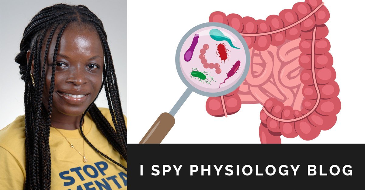 UToledo Medicine tweet media