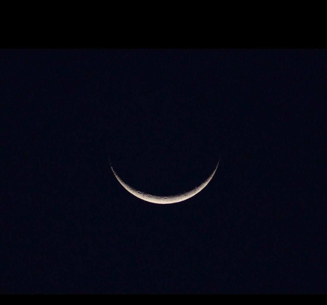 GAIA FORCE tweet media