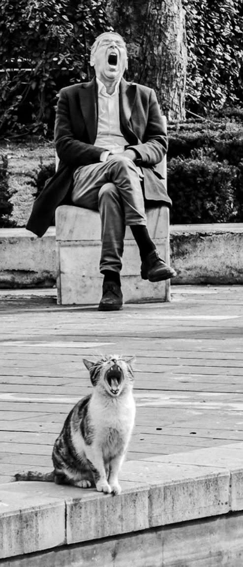 Frau von Flausch 6.0🫶🏻 tweet media