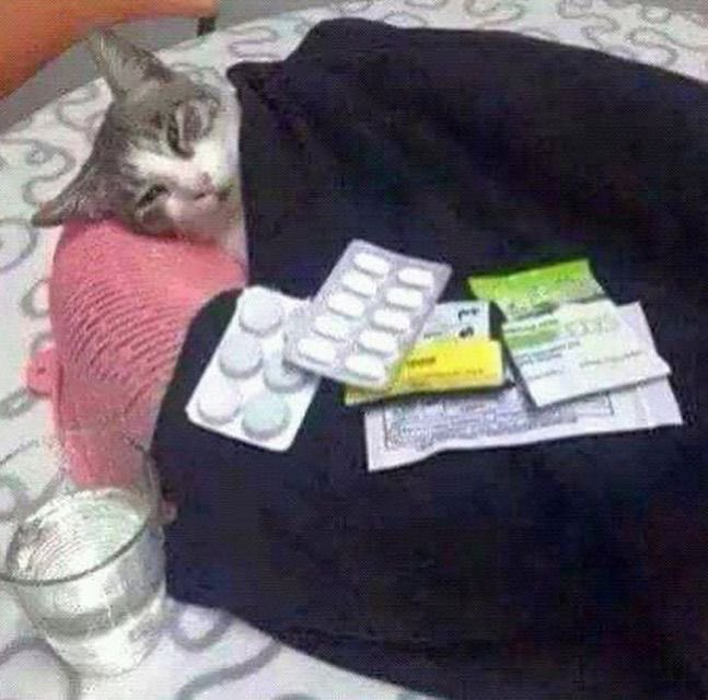 ☽ 𝕊abre ☾ tweet media