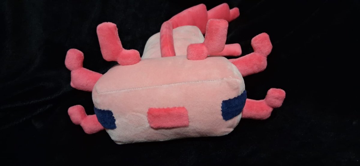 GABYCOLO tweet media