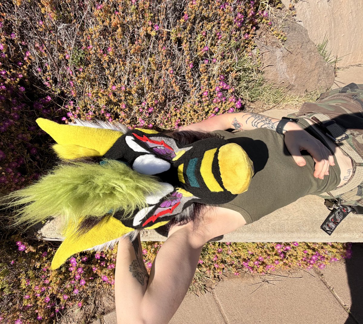 Swamp Dawg @LVFC tweet media