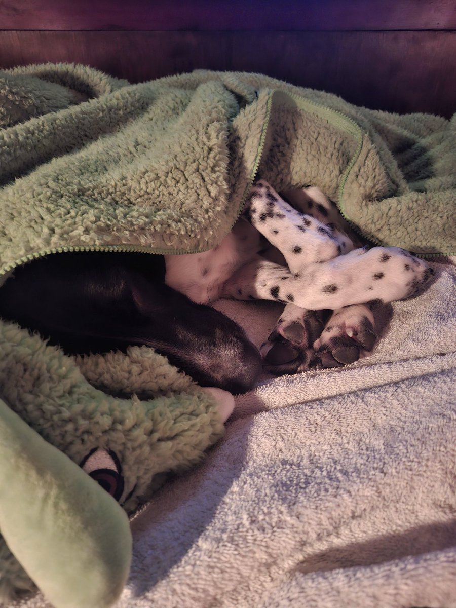 pure beamin' is doing spells ✨️ tweet media